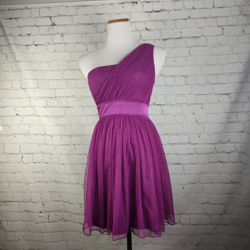 Elegant Purple One-Shoulder Dress  NWT Delia's Glitter Tiered Tulle Berry 3